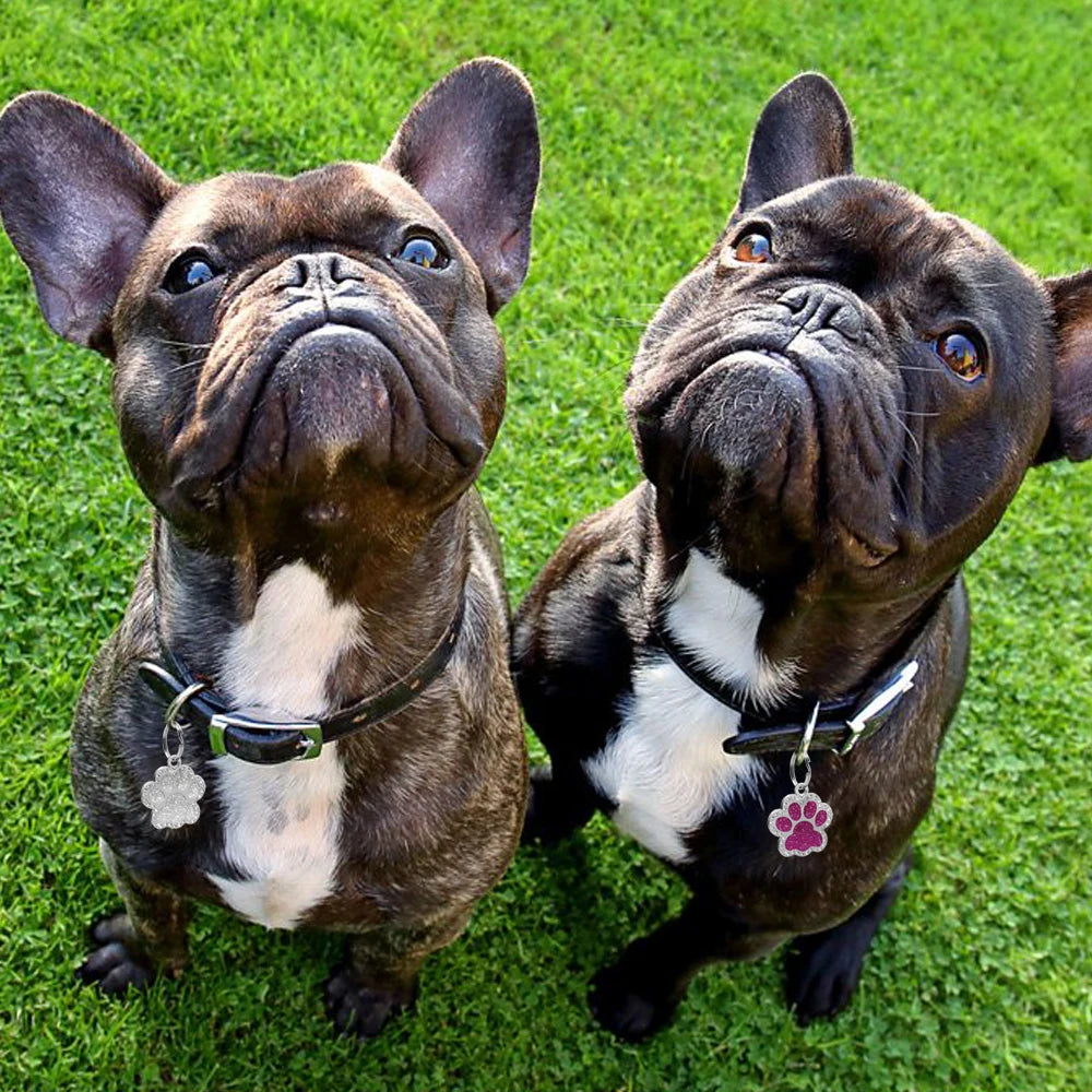 Identyfikatory Kość Diamenciki Srebrne