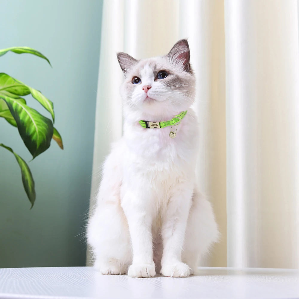 Personalizowana Obroża dla Kota z odblaskowym przeszyciem