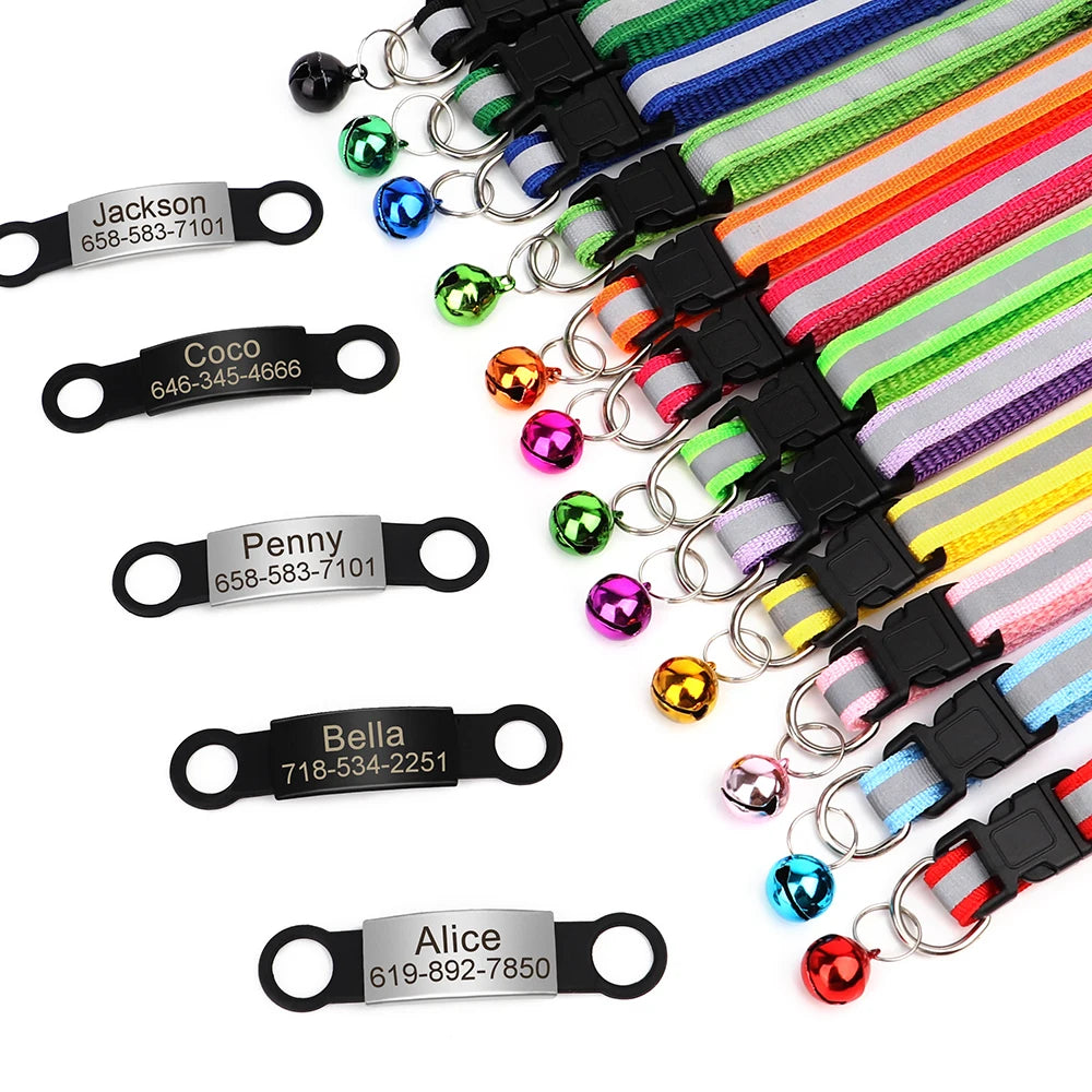 Obroża Kot + Identyfikator na gumie