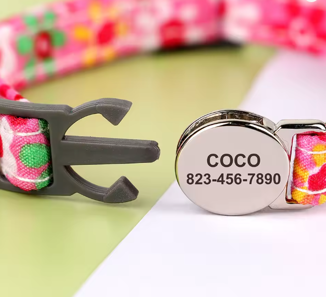 Obroża z Grawerem dla Kota