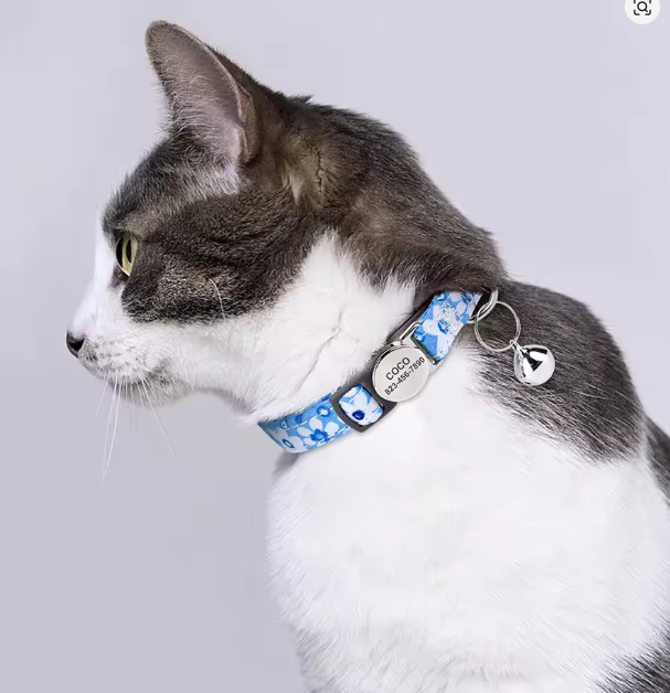 Obroża z Grawerem dla Kota