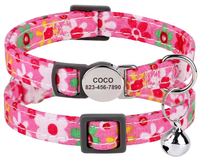 Obroża z Grawerem dla Kota